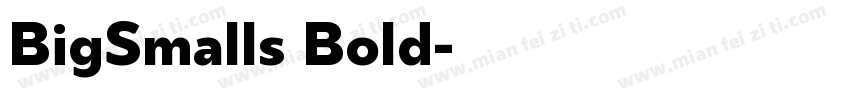 BigSmalls Bold字体转换